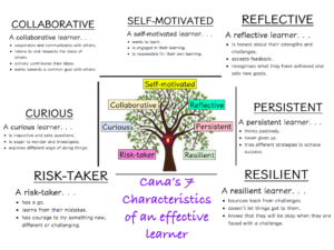 12 Characteristics of Successful Learners